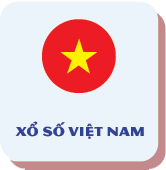 XS VN